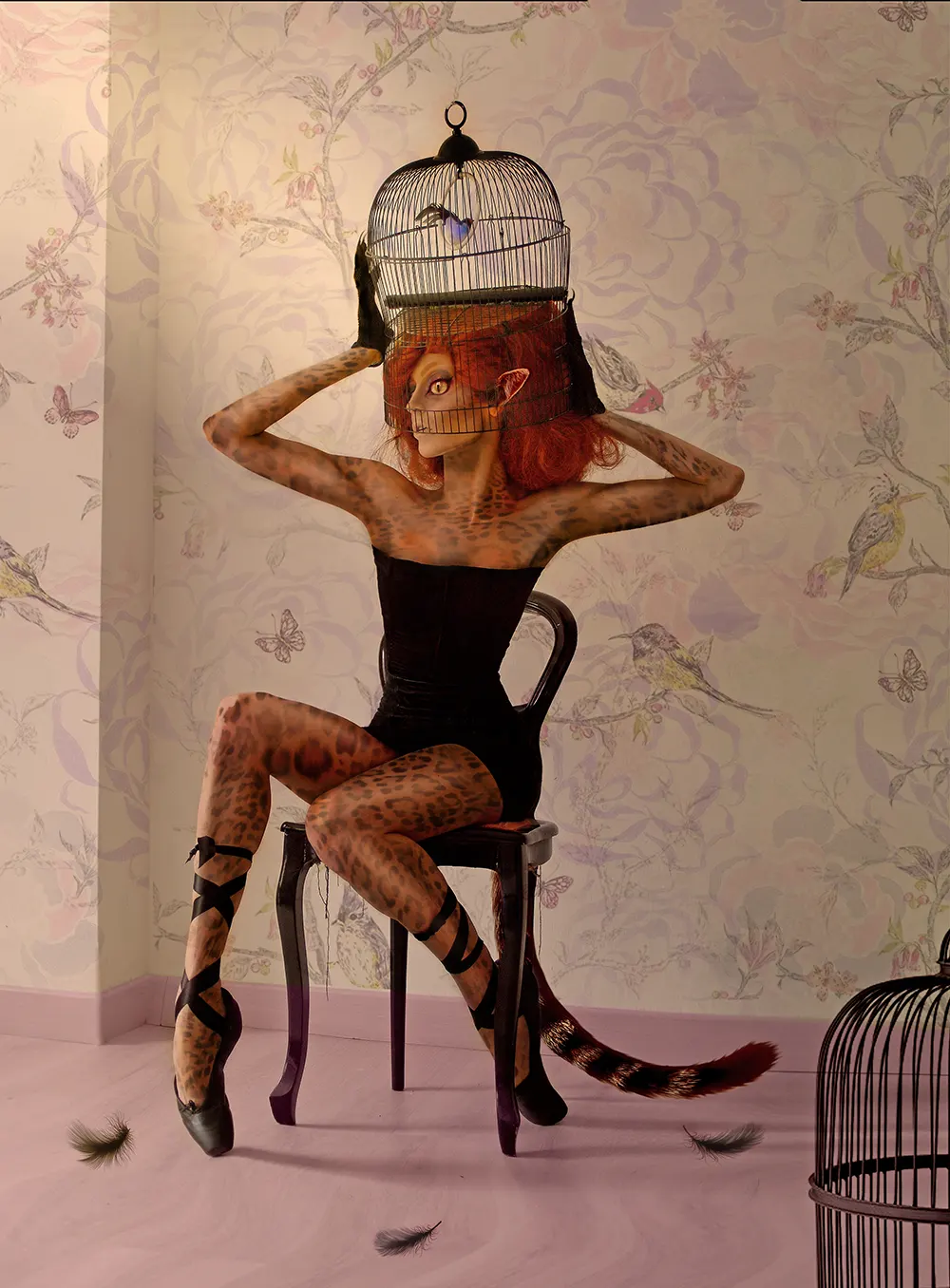 mosaic collection image