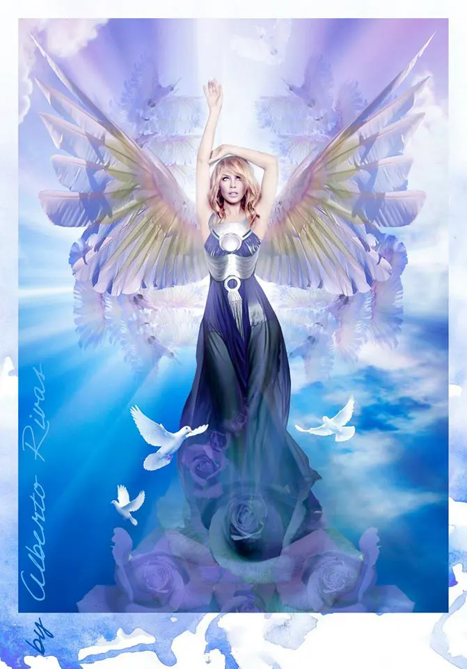 mosaic collection image