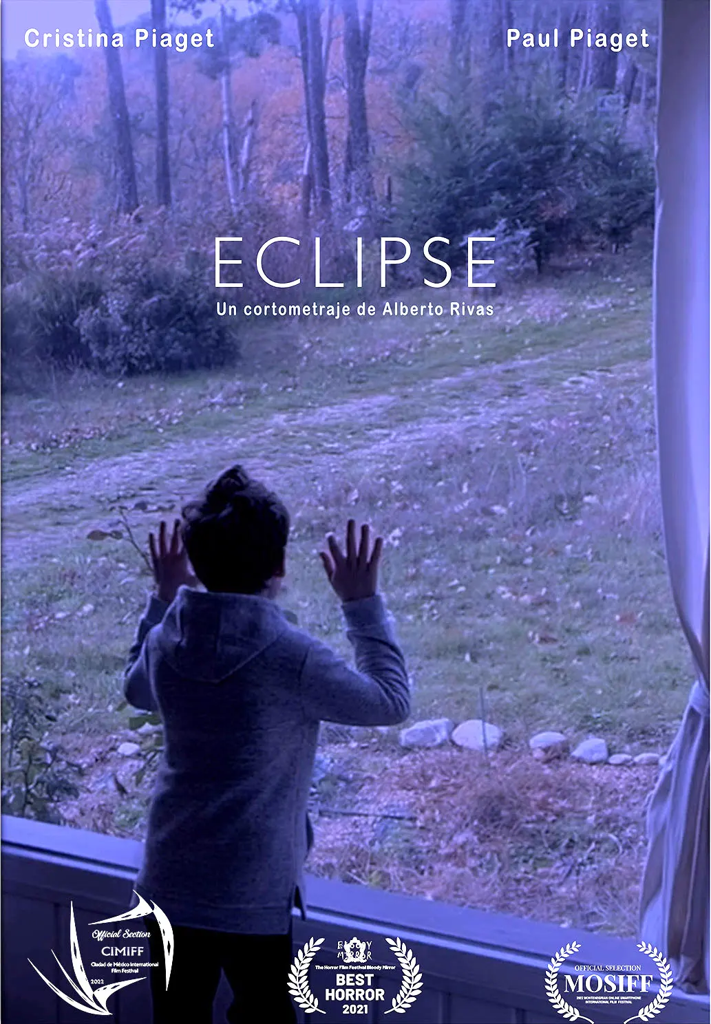 mosaic collection image