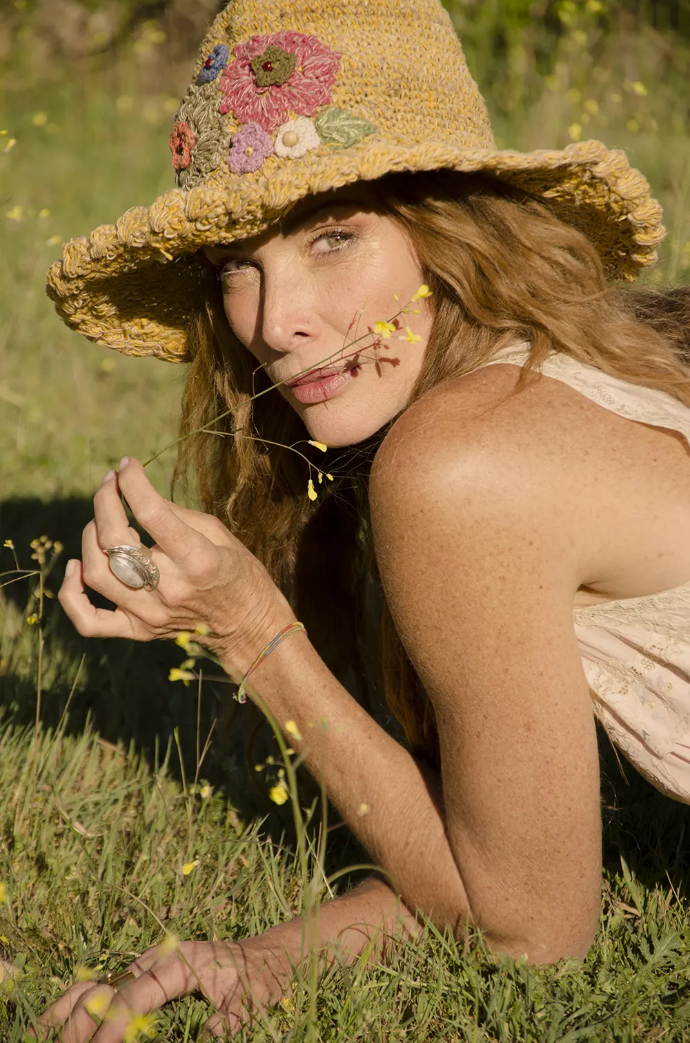 mosaic collection image