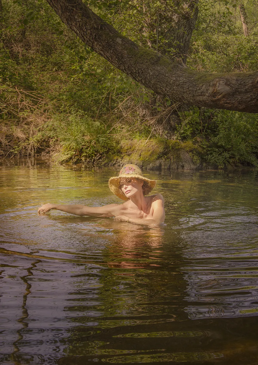 mosaic collection image