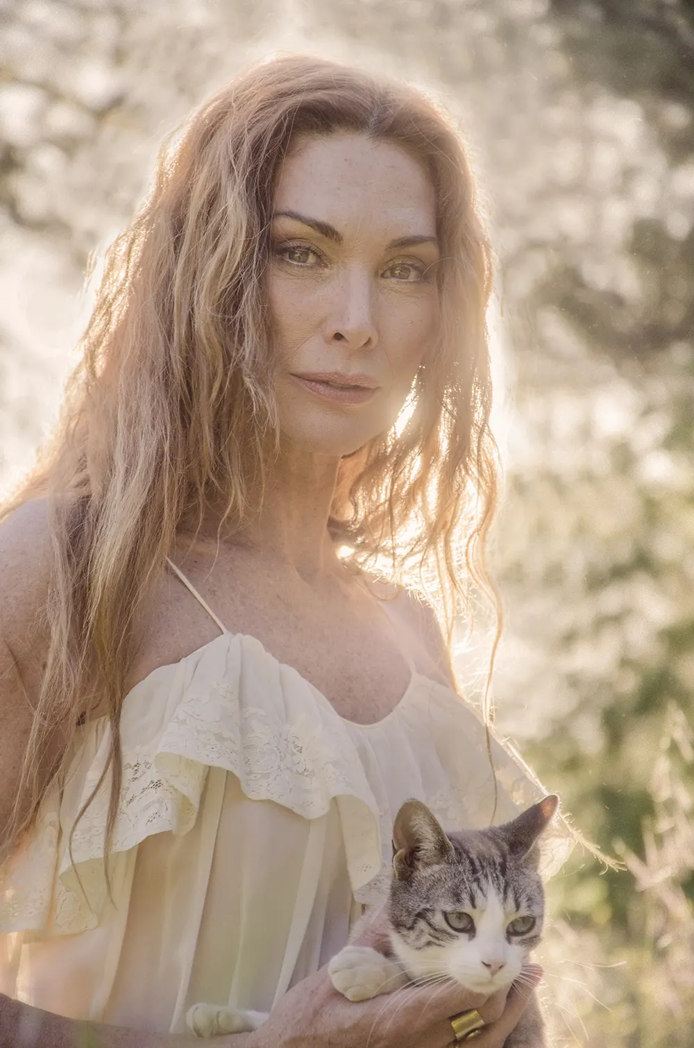 mosaic collection image