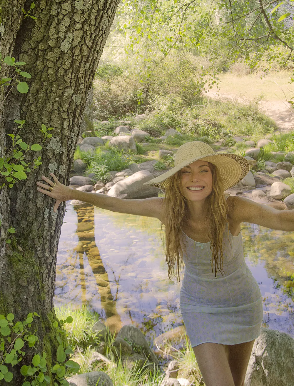 mosaic collection image